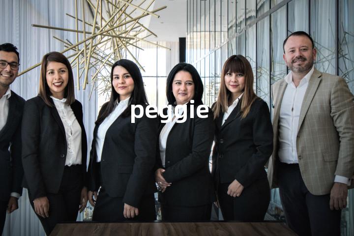 peggie单词图解，单词释义场景配图