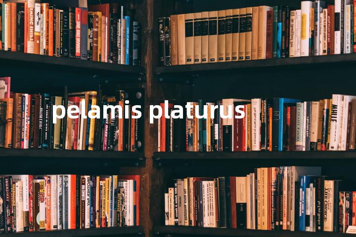 pelamis platurus单词图解，单词释义场景配图