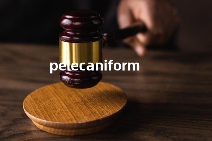pelecaniform单词图解，单词释义场景配图