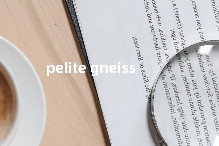 pelite gneiss单词图解，单词释义场景配图