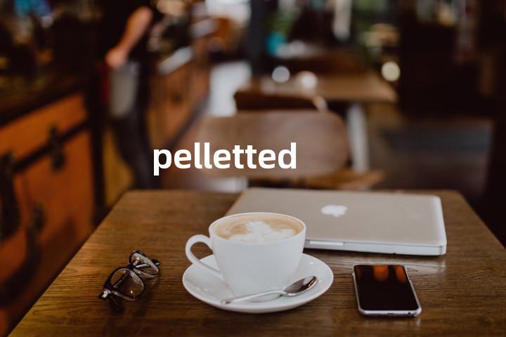 pelletted单词图解，单词释义场景配图