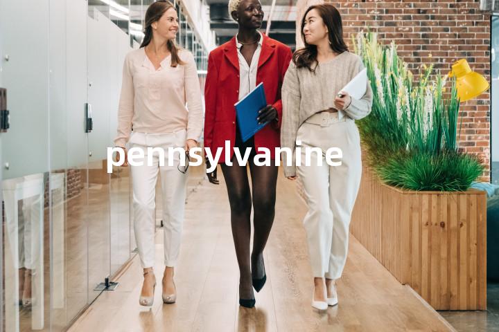 pennsylvanine单词图解，单词释义场景配图