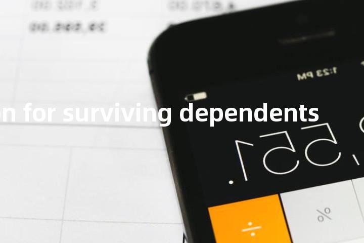 pension for surviving dependents单词图解，单词释义场景配图