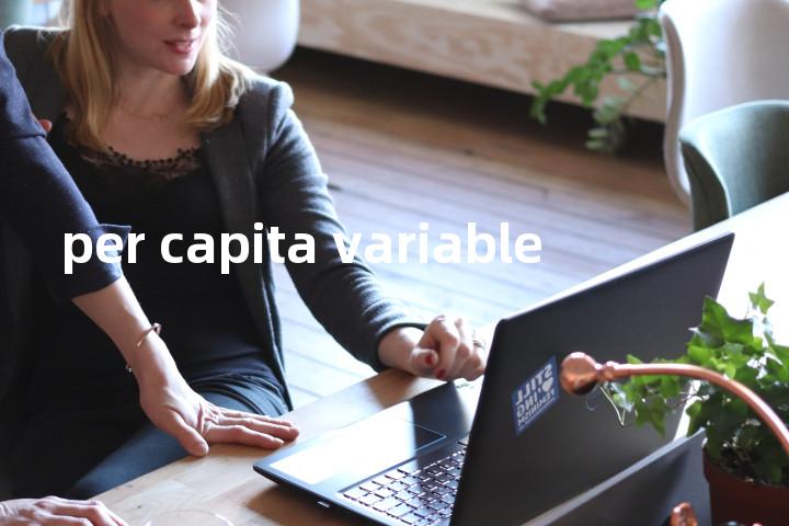 per capita variable单词图解，单词释义场景配图