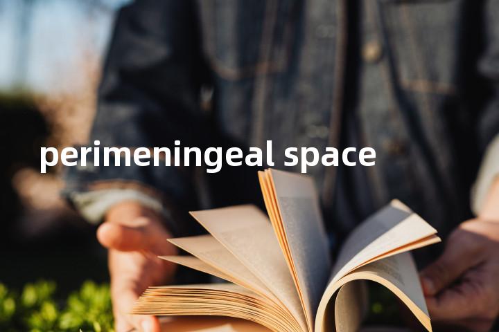 perimeningeal space单词图解，单词释义场景配图