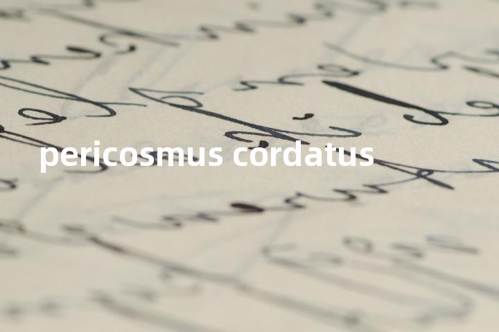 pericosmus cordatus单词图解，单词释义场景配图
