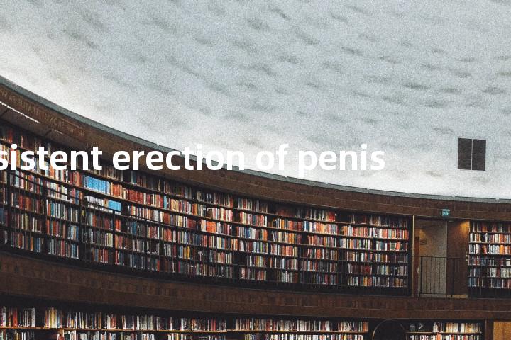 persistent erection of penis单词图解，单词释义场景配图