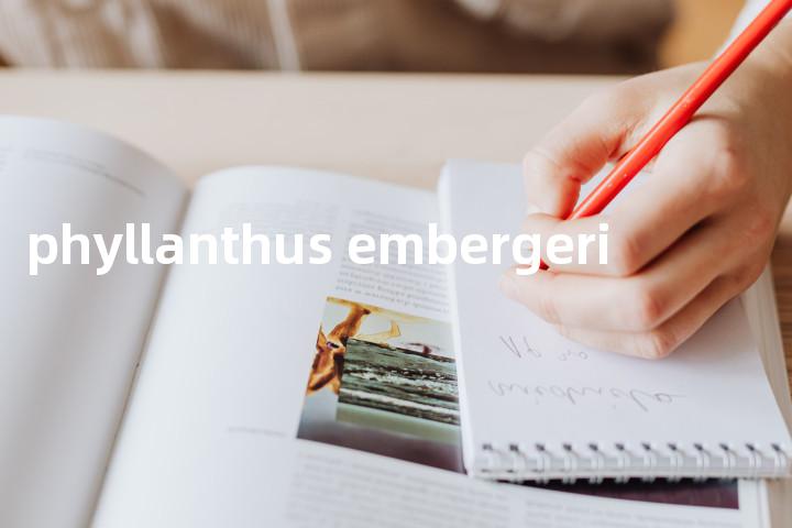 phyllanthus embergeri单词图解，单词释义场景配图