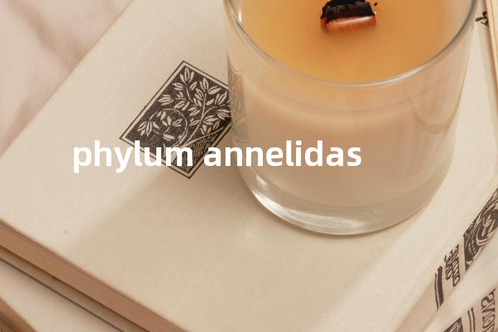 phylum annelidas单词图解，单词释义场景配图