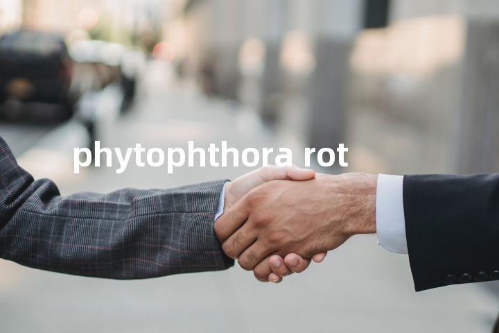 phytophthora rot单词图解，单词释义场景配图