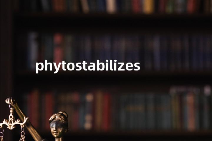 phytostabilizes单词图解，单词释义场景配图