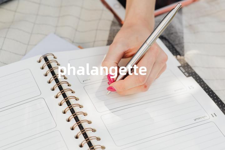 phalangette单词图解，单词释义场景配图