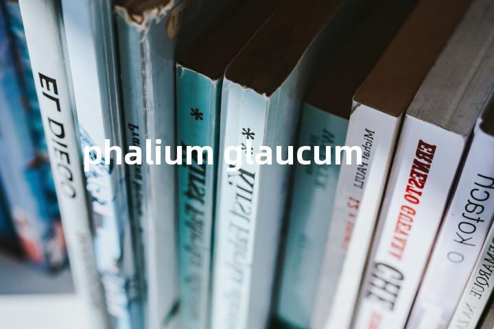 phalium glaucum单词图解，单词释义场景配图