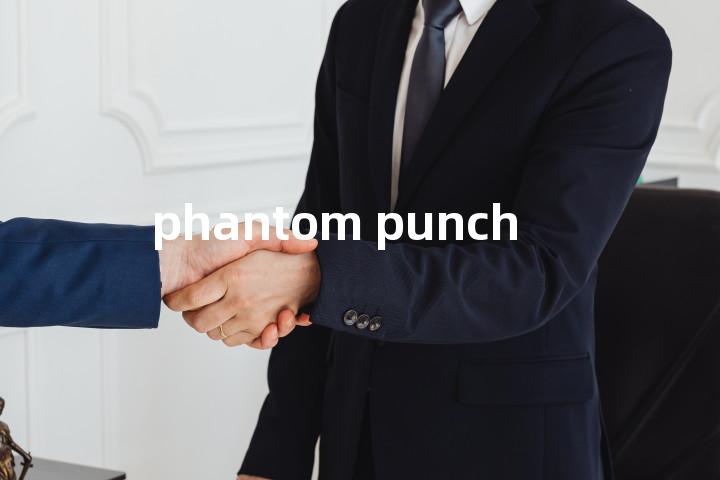 phantom punch单词图解，单词释义场景配图