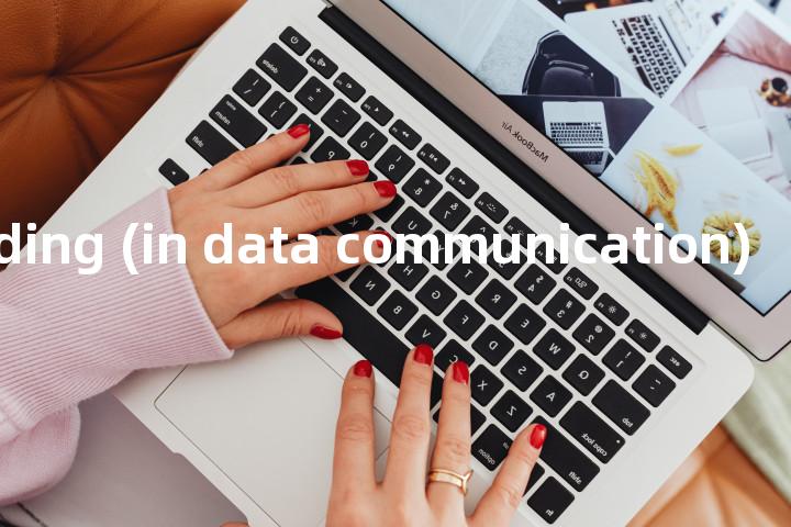 phase coding (in data communication)单词图解，单词释义场景配图