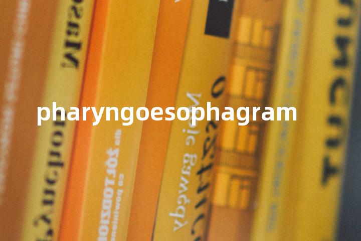 pharyngoesophagram单词图解，单词释义场景配图