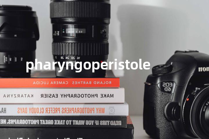 pharyngoperistole单词图解，单词释义场景配图