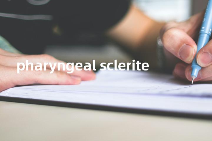 pharyngeal sclerite单词图解，单词释义场景配图