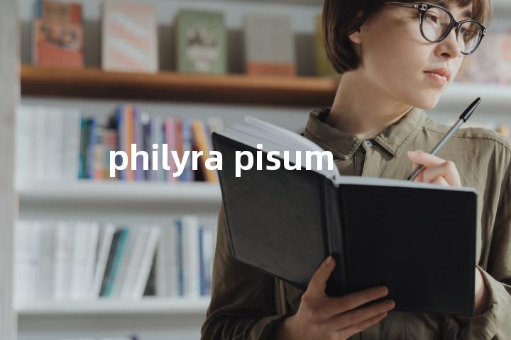 philyra pisum单词图解，单词释义场景配图