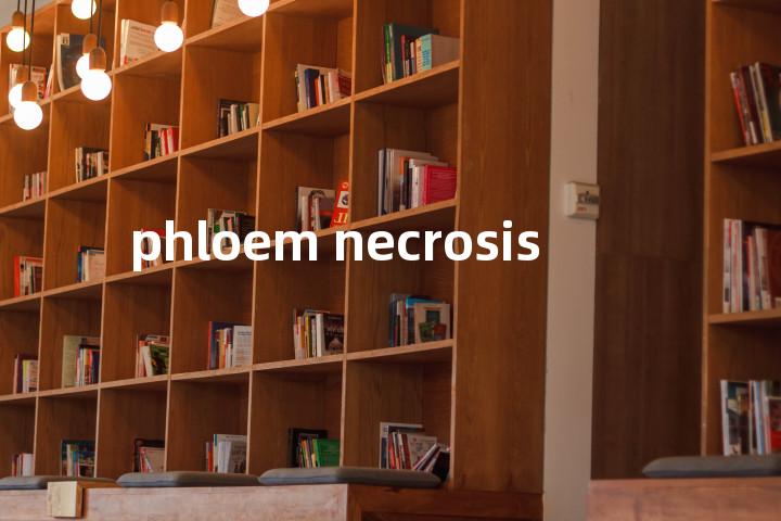 phloem necrosis单词图解，单词释义场景配图