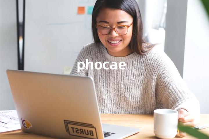 phocae单词图解，单词释义场景配图