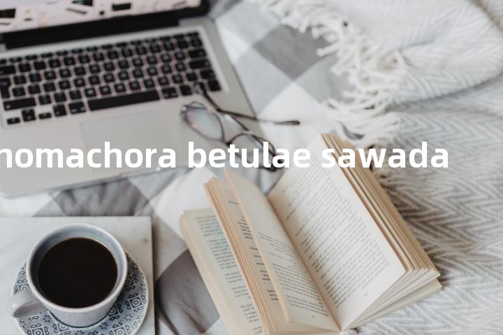 phomachora betulae sawada单词图解，单词释义场景配图