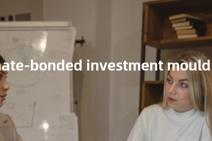 phosphate-bonded investment mould单词图解，单词释义场景配图