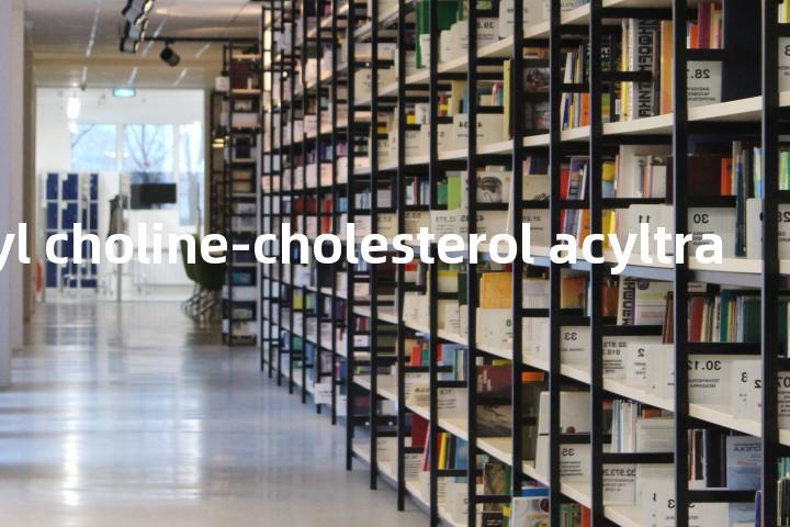 phosphatidyl choline-cholesterol acyltransferase单词图解，单词释义场景配图