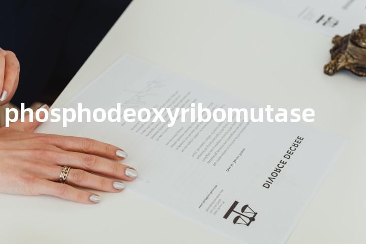 phosphodeoxyribomutase单词图解，单词释义场景配图