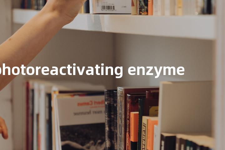 photoreactivating enzyme单词图解，单词释义场景配图
