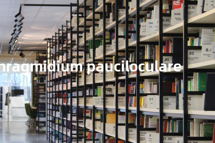 phragmidium pauciloculare单词图解，单词释义场景配图