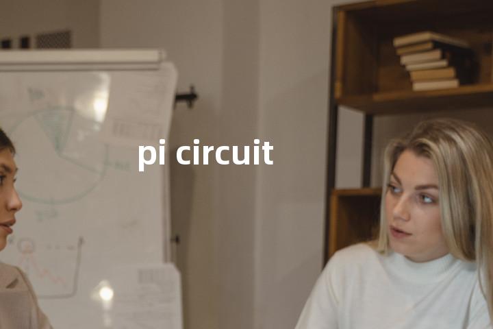 pi circuit单词图解，单词释义场景配图
