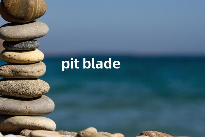 pit blade单词图解，单词释义场景配图