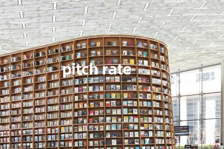 pitch rate单词图解，单词释义场景配图