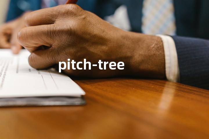 pitch-tree单词图解，单词释义场景配图