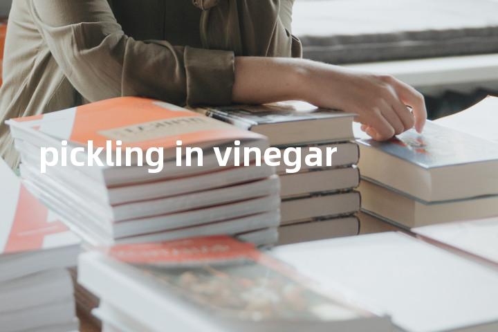 pickling in vinegar单词图解，单词释义场景配图