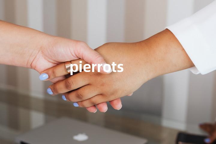 pierrots单词图解，单词释义场景配图