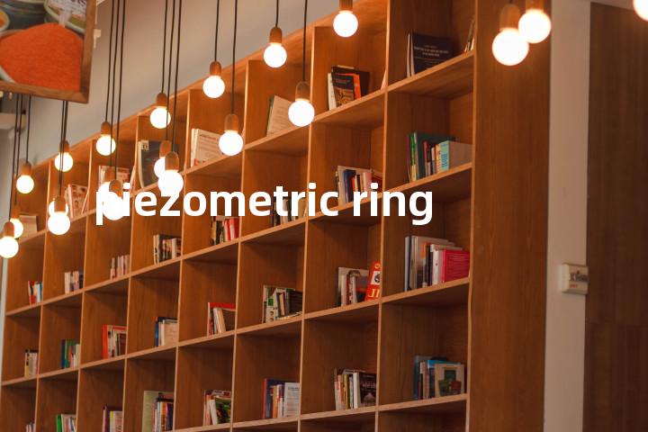 piezometric ring单词图解，单词释义场景配图