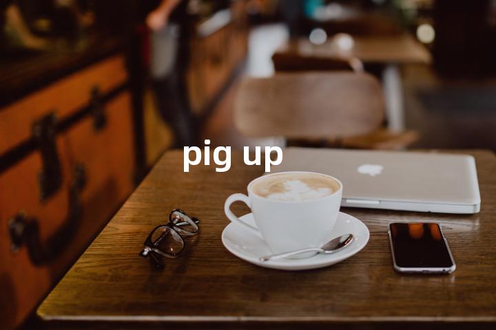 pig up单词图解，单词释义场景配图