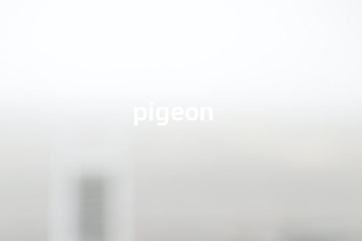 pigeon