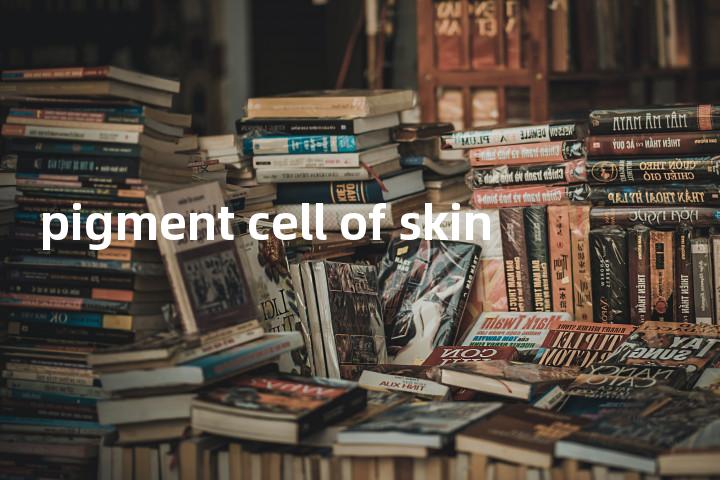 pigment cell of skin单词图解，单词释义场景配图