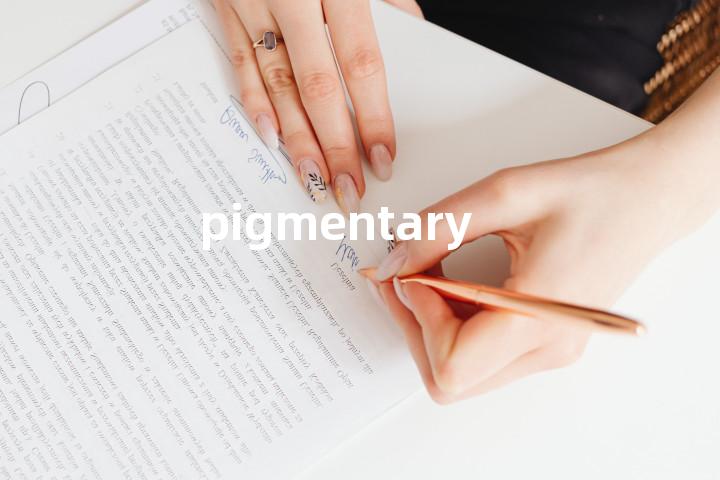 pigmentary单词图解，单词释义场景配图