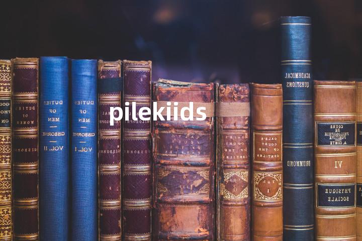 pilekiids单词图解，单词释义场景配图