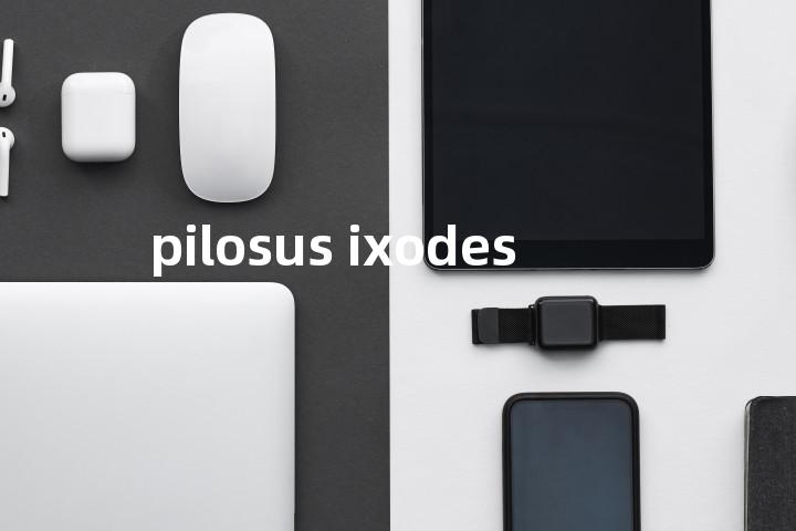 pilosus ixodes单词图解，单词释义场景配图