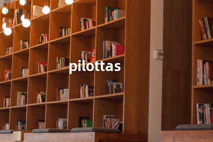 pilottas单词图解，单词释义场景配图