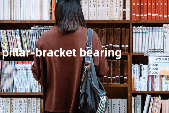 pillar-bracket bearing单词图解，单词释义场景配图