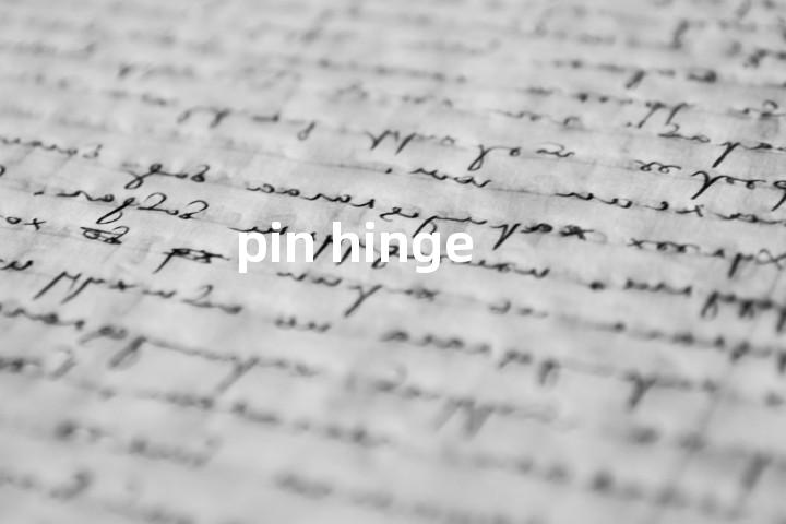 pin hinge单词图解，单词释义场景配图