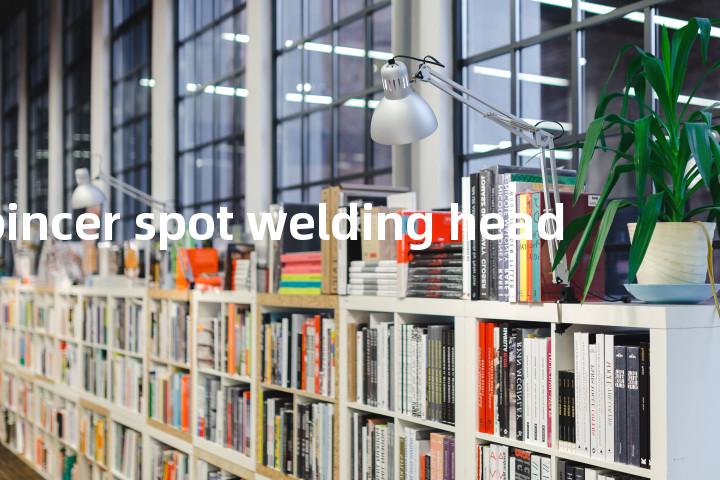 pincer spot welding head单词图解，单词释义场景配图
