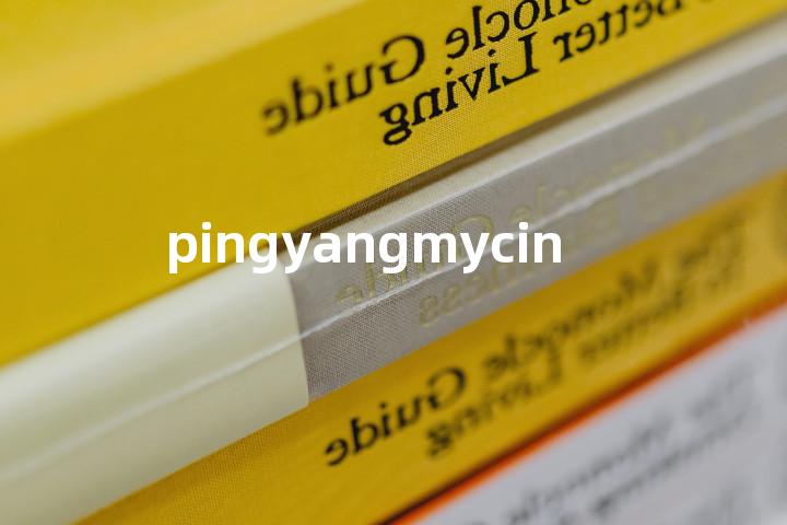 pingyangmycin单词图解，单词释义场景配图