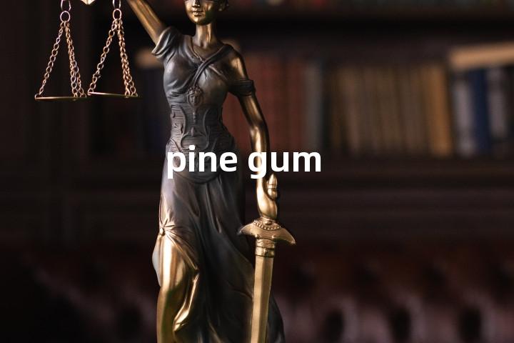 pine gum单词图解，单词释义场景配图